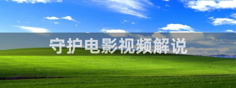 2019久久视频有精品