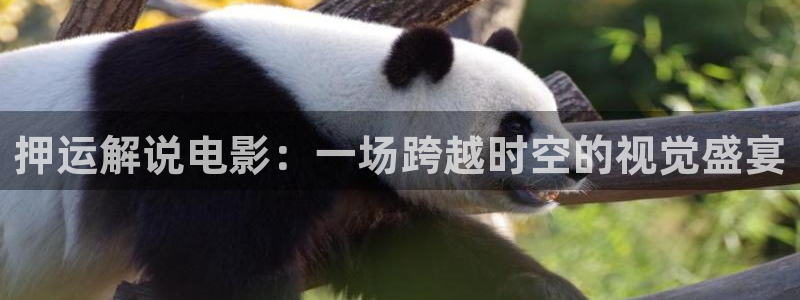 午夜电影久久久久久av